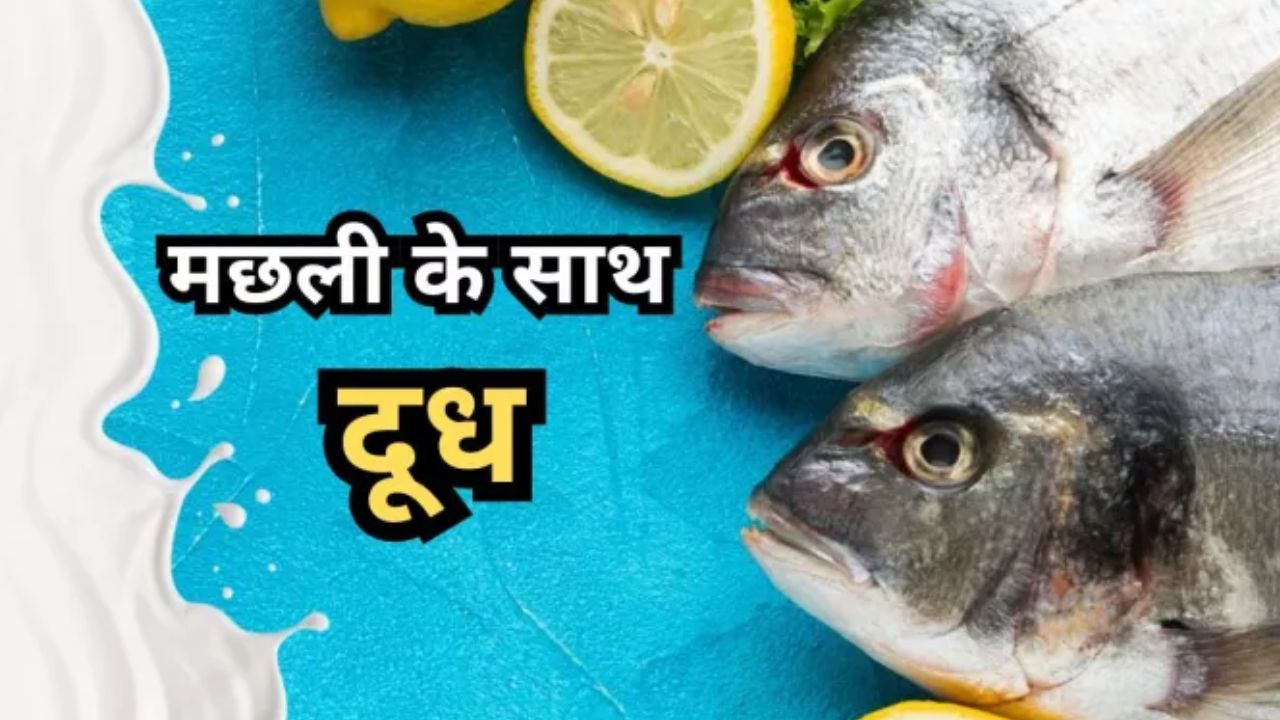 क्या मछली खाने के बाद दूध पीना सचमुच नुकसानदायक है? जानिए इसके पीछे की सच्चाई
