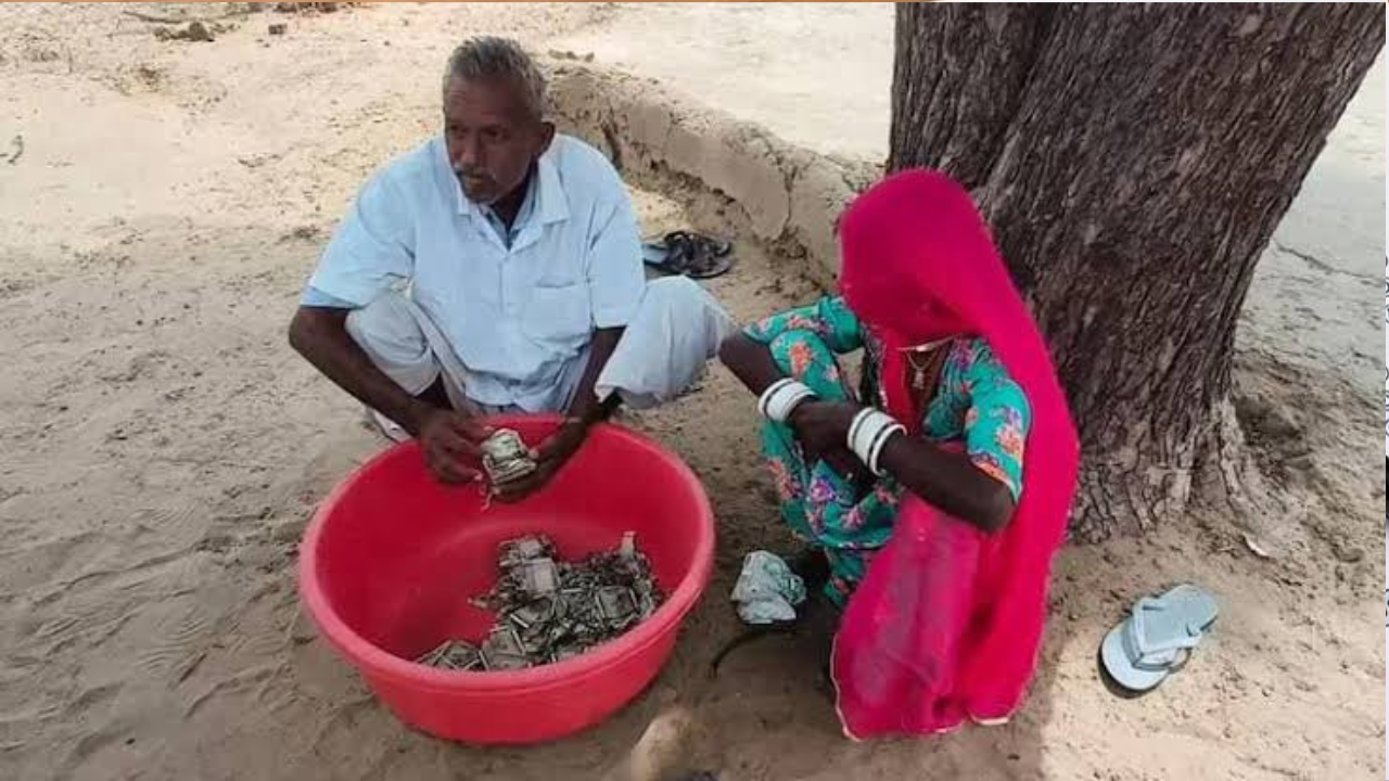 चोरी से बचाने को किसान ने जमीन में छिपाए 5 लाख, दीमक ने कर दिया कंगाल!