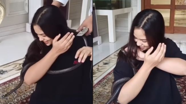 प्रतीक यादव की बेटी प्रथमा का अनोखा साहस, गले में सांप देख भावुक हुईं अपर्णा यादव- बोलीं, ‘मुझे तुम पर गर्व है’
